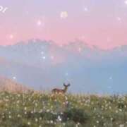 ヒメ日記 2025/06/09 10:34 投稿 伊藤 熟女デリヘル倶楽部