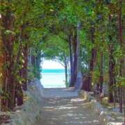 ヒメ日記 2025/06/21 11:36 投稿 伊藤 熟女デリヘル倶楽部