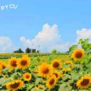 ヒメ日記 2025/06/25 13:47 投稿 伊藤 熟女デリヘル倶楽部