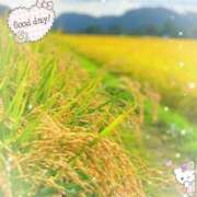 ヒメ日記 2025/09/25 10:32 投稿 伊藤 熟女デリヘル倶楽部