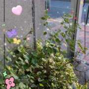 ヒメ日記 2025/11/18 12:00 投稿 伊藤 熟女デリヘル倶楽部