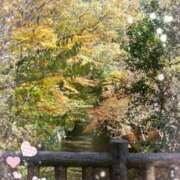 ヒメ日記 2025/11/26 12:26 投稿 伊藤 熟女デリヘル倶楽部