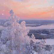 ヒメ日記 2026/01/14 12:24 投稿 伊藤 熟女デリヘル倶楽部