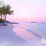 ヒメ日記 2026/01/29 11:30 投稿 伊藤 熟女デリヘル倶楽部