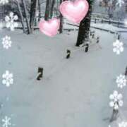 ヒメ日記 2026/02/08 11:14 投稿 伊藤 熟女デリヘル倶楽部