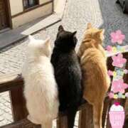 伊藤 😘 熟女デリヘル倶楽部