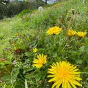 伊藤 (*^^*)♪ 熟女デリヘル倶楽部