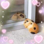 伊藤 花粉～💠 熟女デリヘル倶楽部