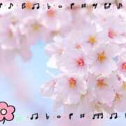 ヒメ日記 2026/03/08 10:35 投稿 伊藤 熟女デリヘル倶楽部