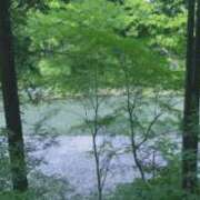 ヒメ日記 2026/04/03 11:56 投稿 伊藤 熟女デリヘル倶楽部