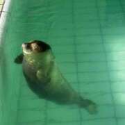 ヒメ日記 2025/07/04 20:52 投稿 ゆま メンヘラ専門デリヘル ゼロワン 横浜本店