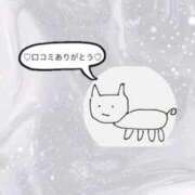 ヒメ日記 2025/09/11 17:42 投稿 ゆま メンヘラ専門デリヘル ゼロワン 横浜本店