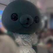 ヒメ日記 2025/09/29 00:12 投稿 ゆま メンヘラ専門デリヘル ゼロワン 横浜本店