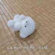 ヒメ日記 2025/11/11 16:36 投稿 ゆま メンヘラ専門デリヘル ゼロワン 横浜本店