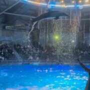 ヒメ日記 2025/11/30 21:32 投稿 ゆま メンヘラ専門デリヘル ゼロワン 横浜本店