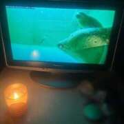 ヒメ日記 2025/12/05 00:32 投稿 ゆま メンヘラ専門デリヘル ゼロワン 横浜本店