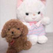 ヒメ日記 2025/12/05 18:02 投稿 ゆま メンヘラ専門デリヘル ゼロワン 横浜本店