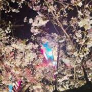 ヒメ日記 2025/04/03 22:59 投稿 さな奥様 川崎人妻ソープ Mint(ミント)