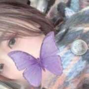 ヒメ日記 2025/11/09 13:09 投稿 いつか ぴゅあミセス