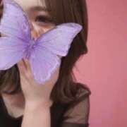 ヒメ日記 2026/08/11 04:02 投稿 いつか ぴゅあミセス