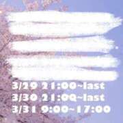 ヒメ日記 2025/03/28 17:19 投稿 りりこ【MTX】 ソープランド AQUA（アクア）