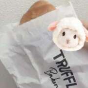 ヒメ日記 2025/04/15 11:08 投稿 りりこ【MTX】 ソープランド AQUA（アクア）