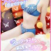 ヒメ日記 2025/09/22 18:16 投稿 ひなた ぼくらのデリヘルランドin久喜店