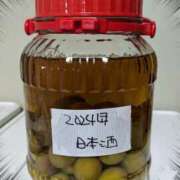 ヒメ日記 2024/12/11 23:25 投稿 右京 おふくろ