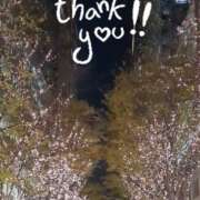 ヒメ日記 2024/12/18 21:20 投稿 右京 おふくろ