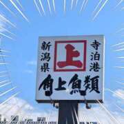 ヒメ日記 2024/12/31 11:48 投稿 右京 おふくろ