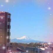 ヒメ日記 2025/01/10 08:39 投稿 右京 おふくろ