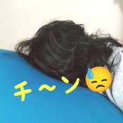 ヒメ日記 2025/01/15 10:23 投稿 右京 おふくろ