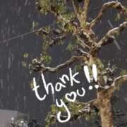 ヒメ日記 2025/03/04 23:20 投稿 右京 おふくろ