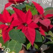 ヒメ日記 2025/03/09 11:02 投稿 右京 おふくろ