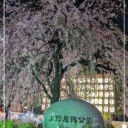 ヒメ日記 2025/03/24 22:38 投稿 右京 おふくろ