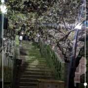 ヒメ日記 2025/03/26 23:26 投稿 右京 おふくろ