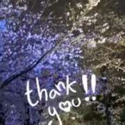 ヒメ日記 2025/03/28 22:43 投稿 右京 おふくろ