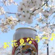 ヒメ日記 2025/03/30 14:28 投稿 右京 おふくろ