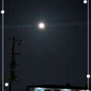 ヒメ日記 2025/04/14 23:37 投稿 右京 おふくろ