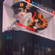 ヒメ日記 2025/05/03 20:38 投稿 右京 おふくろ