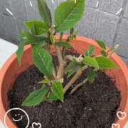 ヒメ日記 2025/05/04 22:46 投稿 右京 おふくろ