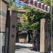 ヒメ日記 2025/05/08 11:00 投稿 右京 おふくろ