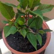 ヒメ日記 2025/05/21 10:28 投稿 右京 おふくろ