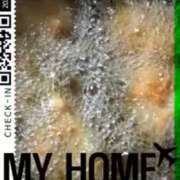 ヒメ日記 2025/06/04 23:13 投稿 右京 おふくろ