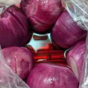 ヒメ日記 2025/06/13 23:46 投稿 右京 おふくろ