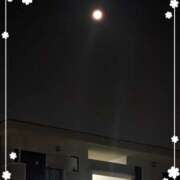 ヒメ日記 2025/07/09 23:57 投稿 右京 おふくろ