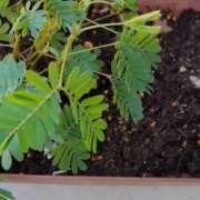 ヒメ日記 2025/07/19 08:41 投稿 右京 おふくろ