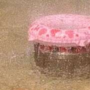 ヒメ日記 2025/07/26 11:43 投稿 右京 おふくろ