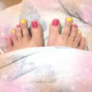 ヒメ日記 2025/07/31 11:09 投稿 右京 おふくろ