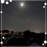 ヒメ日記 2025/08/09 23:13 投稿 右京 おふくろ